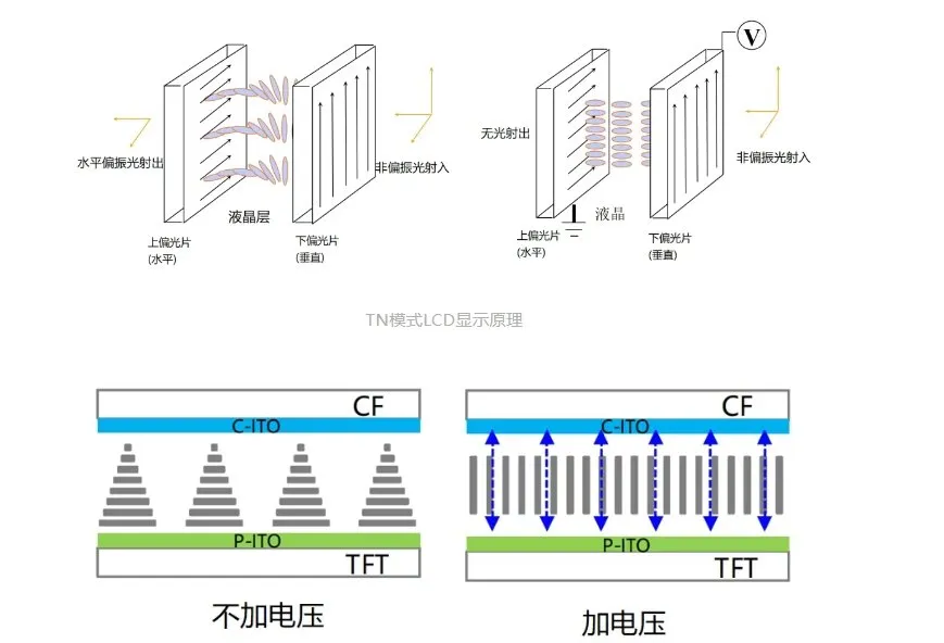 4 modalità di visualizzazione LCD comuni: TN, IPS, VA, FFS 1